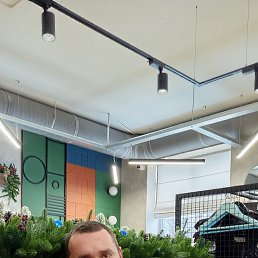 ���� ����, �������, 41 ��� - ��������� 25 ����� 2026