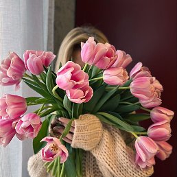 ����, �����-���������