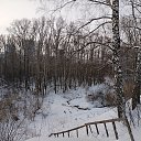 ���� ���������, ����� - ��������� 15 ������� 2025 � ������ ���� ����������