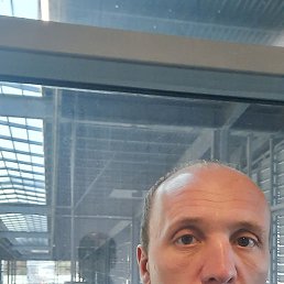 , 41, 