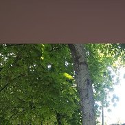 ������, 28 ���, �������