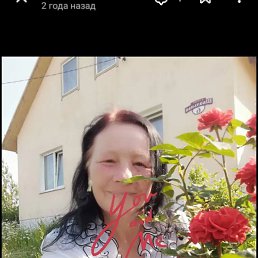 ���� ��������, �����, 52 ���� - ��������� 18 ����� 2025