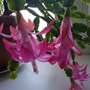 ���� ������, ������, 67 ��� - ��������� 14 ������� 2023 � ������ ���� ����������