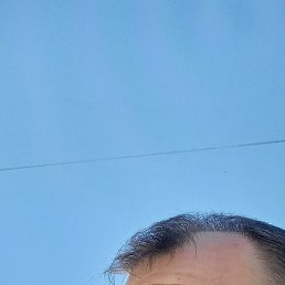 ������, ������, 43 ����