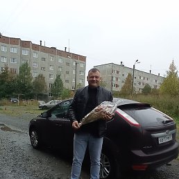 �������, �������, 43 ����