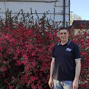 ���� ��������, ��������, 54 ���� - ��������� 8 �������� 2025 � ������ ���� ����������