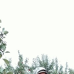 �����, ������, 46 ���