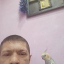 ���� ����, ������, 51 ��� - ��������� 17 ������� 2023 � ������ ���� ����������