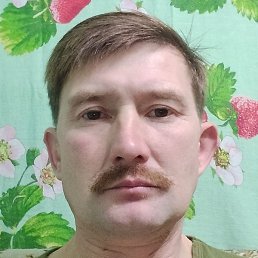 ����, �����, 43 ����