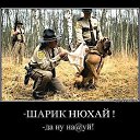 ���� ��������, ��������, 54 ���� - ��������� 10 ������ 2024 � ������ ���� ����������