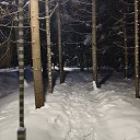 ���� �����, �������� - ��������� 19 ����� 2026 � ������ ���� ����������