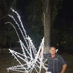 ������, ��������, 37 ���