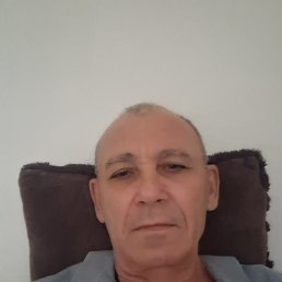, 65,   