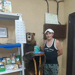 ������, 43 ����, ������