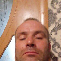 ����������, 41 ���, ����