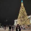 ���� �������, ������ ��������, 44 ���� - ��������� 8 ������ 2026 � ������ ���� ����������