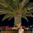 ���� *����������*, ��� - ��������� 3 ������� 2025 � ������ ���� ����������