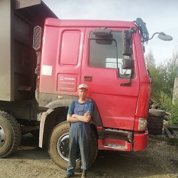 , 41, 