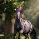 ���� �����, �������� - ��������� 23 ������ 2025 � ������ ���� ����������