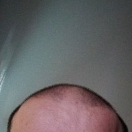  , 32, 