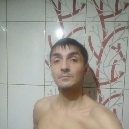 , 37, 