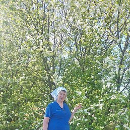 �������, �����������, 64 ����