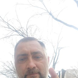 ���� �����, ������, 42 ���� - ��������� 18 ����� 2024