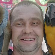 �������, 38 ���, ������ �����