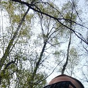 �������, 30 ���, �����