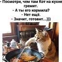 ���� ��������, ����������, 58 ��� - ��������� 2 ���� 2025 � ������ ������ ��������