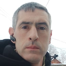 ������, �������, 41 ���