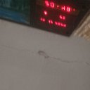 ���� Viktor, �����, 47 ��� - ��������� 14 ������� 2024