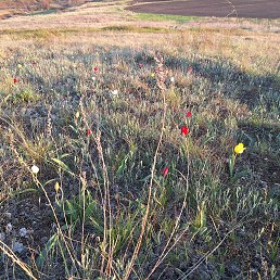 ���� ��������, ���������, 66 ��� - ��������� 20 ������ 2025