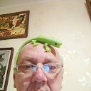 ���� ���������, ���������, 66 ��� - ��������� 20 ������� 2025 � ������ ���� ����������