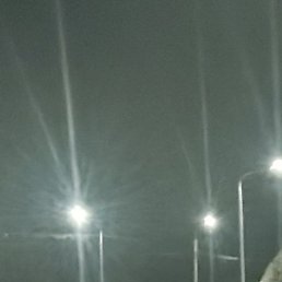 ���������, ������, 41 ���