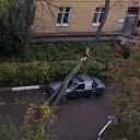 ���� ��������, ������, 54 ���� - ��������� 29 ������� 2025 � ������ ������ ��������