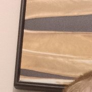 ������, 37 ���, ������