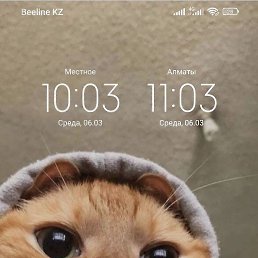 ������, ���������, 38 ���