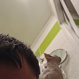 ���� �����, ������, 36 ��� - ��������� 5 ������ 2026