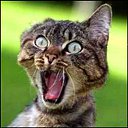 ���� ������, ����� - ��������� 31 ������ 2025 � ������ ���� ����������