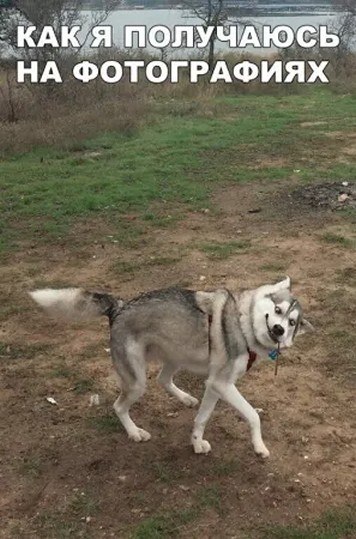 ☆ ☆ - 16  2025  12:22