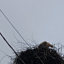 ���� �����, ������� ��������, 31 ��� - ��������� 6 ���� 2025 � ������ ���� ����������