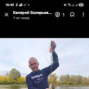 ���� �������, ���������, 43 ���� - ��������� 4 ����� 2026