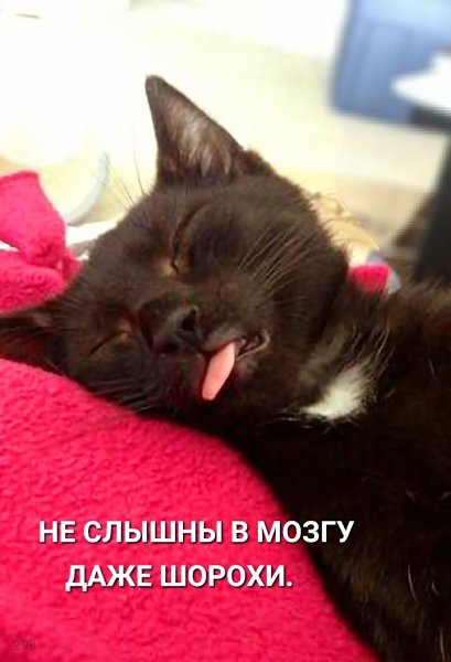  - 12  2024  13:34