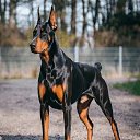 ���� ��� �� ����, ���������, 32 ���� - ��������� 21 ������� 2025 � ������ ���� ����������