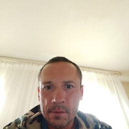 ���� ���������, ����, 46 ��� - ��������� 11 ������� 2026