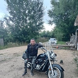 ���� ����, �����, 52 ���� - ��������� 2 ������� 2026