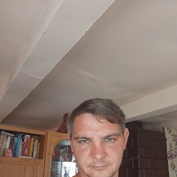 ���� ����, �����, 32 ���� - ��������� 3 ������� 2024