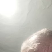 ������, 57 ���, �����������