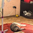 ���� ����, �������, 79 ��� - ��������� 13 ������ 2025 � ������ ������ ��������